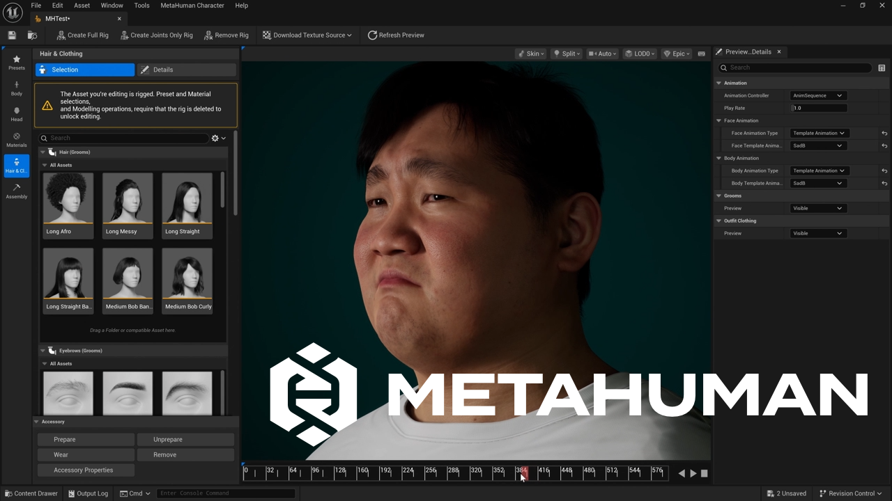 MetaHuman